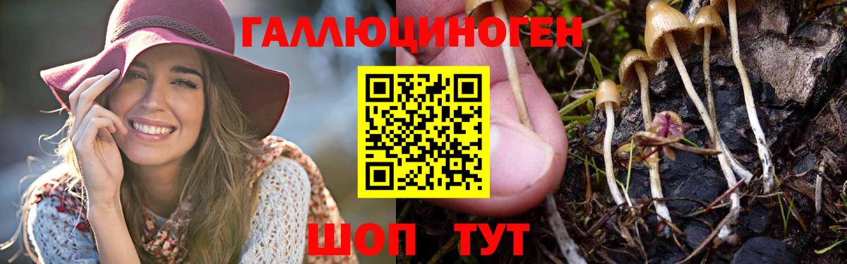 Кызыл  Галлюциногенные грибы Magic Shrooms  Вход с VPN  Галлюциногенные грибы MAGIC MUSHROOMS 